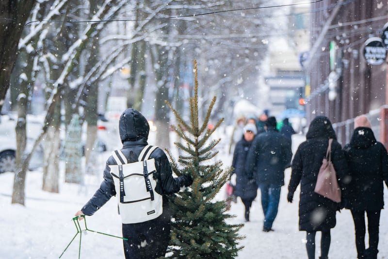 Urban Walks